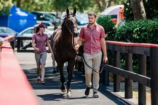 Day Three Book 2 Highlight, Lot 1097 (Preferment x Essayez) purchased for $120,00.